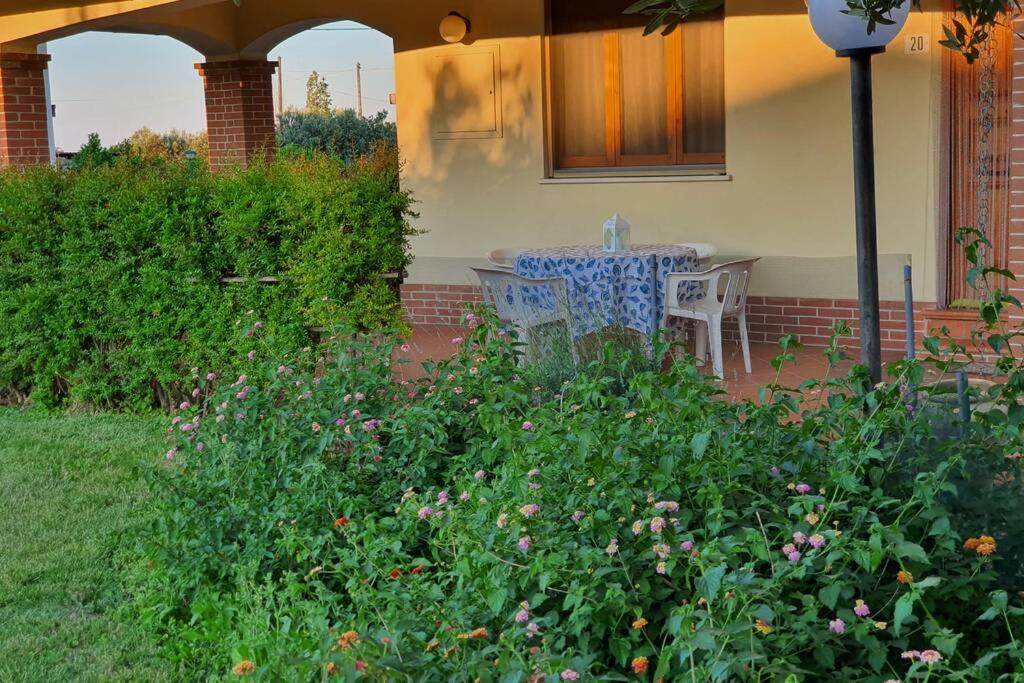 Villetta Giardino Degli Ulivi Ortona Exterior foto